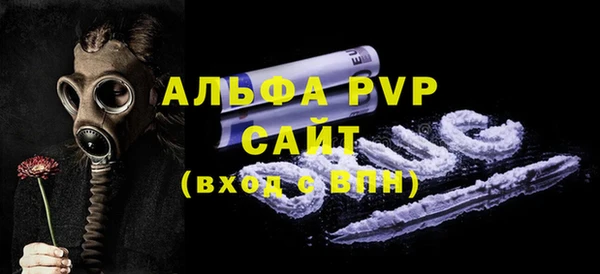 скорость Вяземский