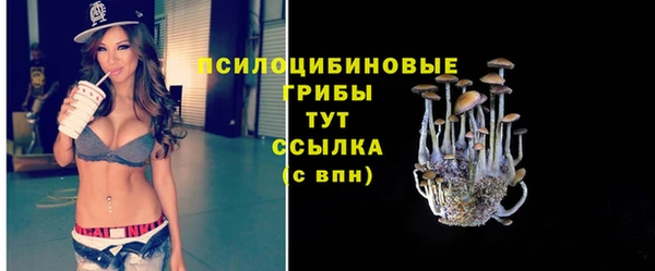 прущие крисы Вязники