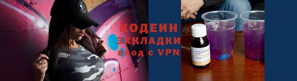 скорость Вяземский