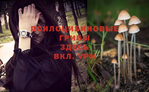 прущие крисы Вязники