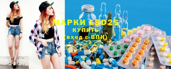 скорость Вяземский