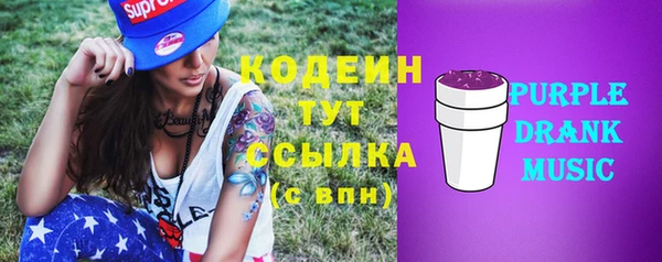 скорость Вяземский
