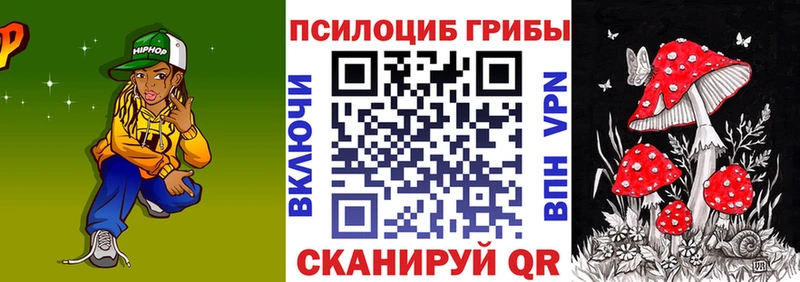закладки  Плавск  Псилоцибиновые грибы GOLDEN TEACHER 